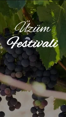 İncesu Üzüm Festivali